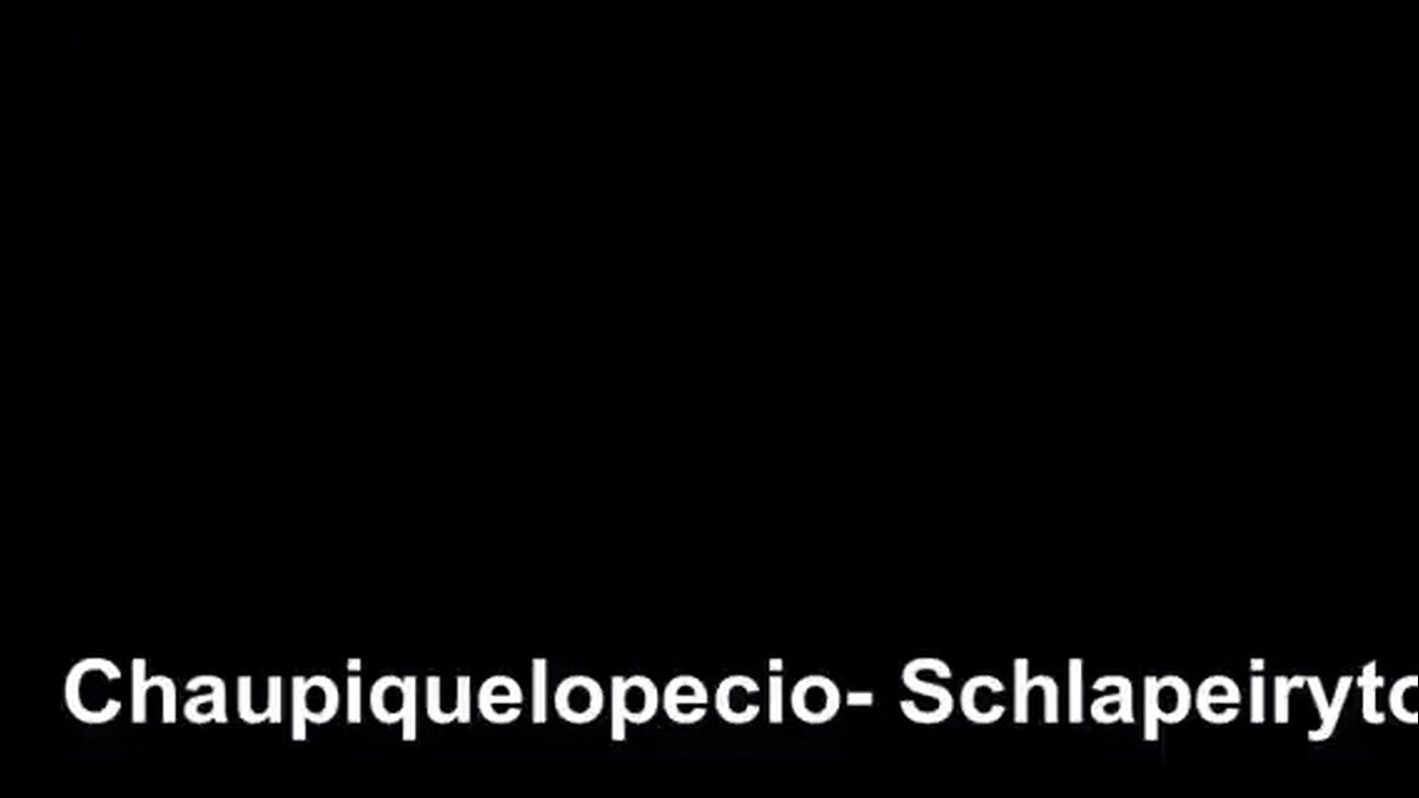 Chaupiquelopecio - Schlapeirytockrond