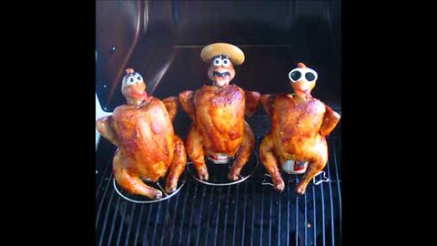 Fun chicken farm