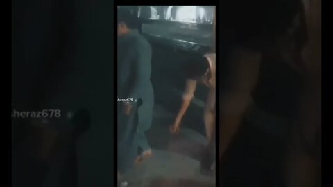 Funny video will make you laugh