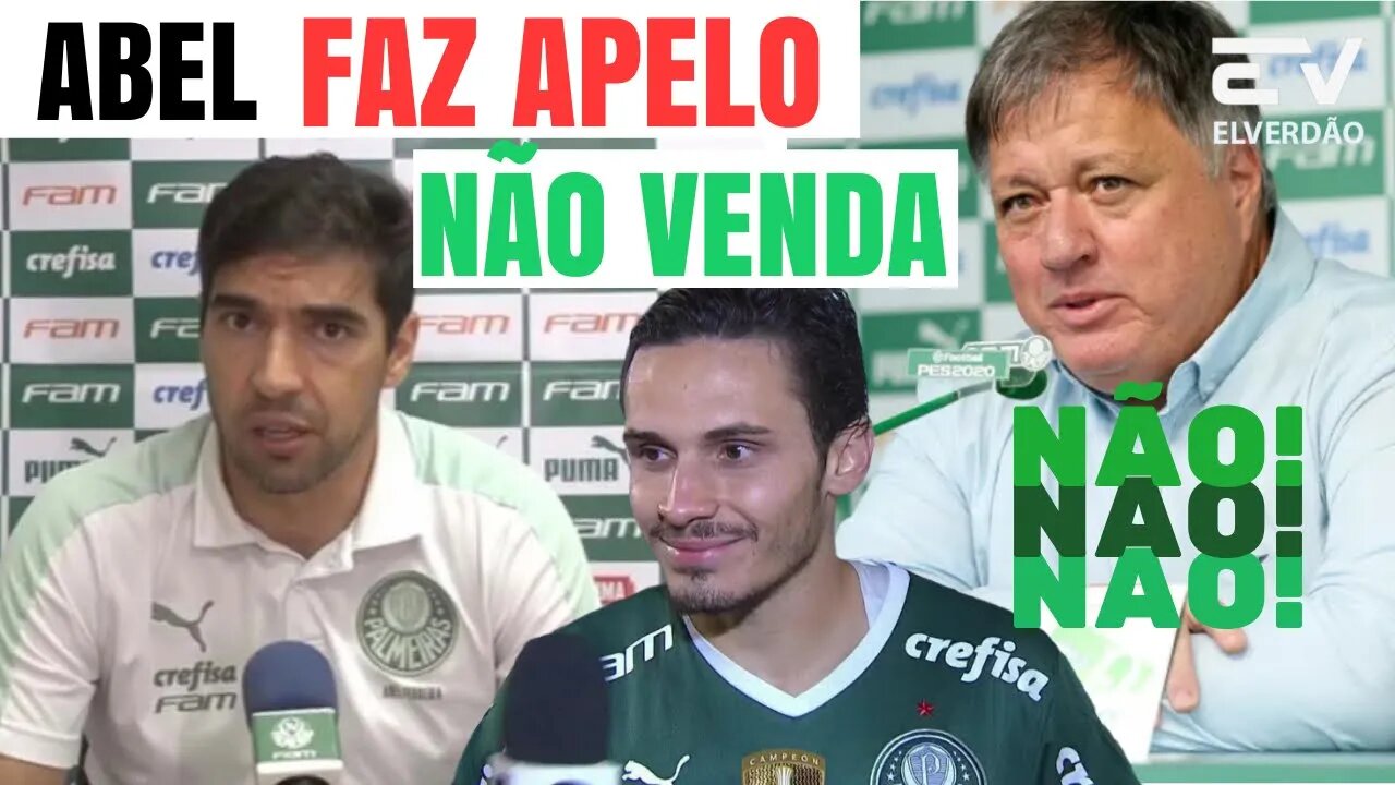 ✅abel reforça e faz apelo á diretoria "não venda esse jogador"#palmeiras