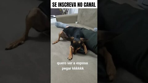 o ALVIN e o meu cachorrinho fiel #SHORTS