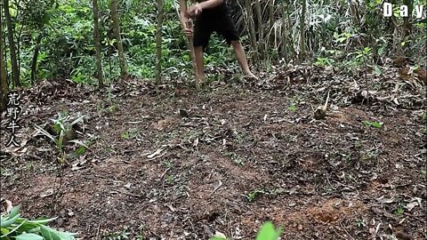 The boy wandered in the wild for 12 days, showing amazing wild survival skills13