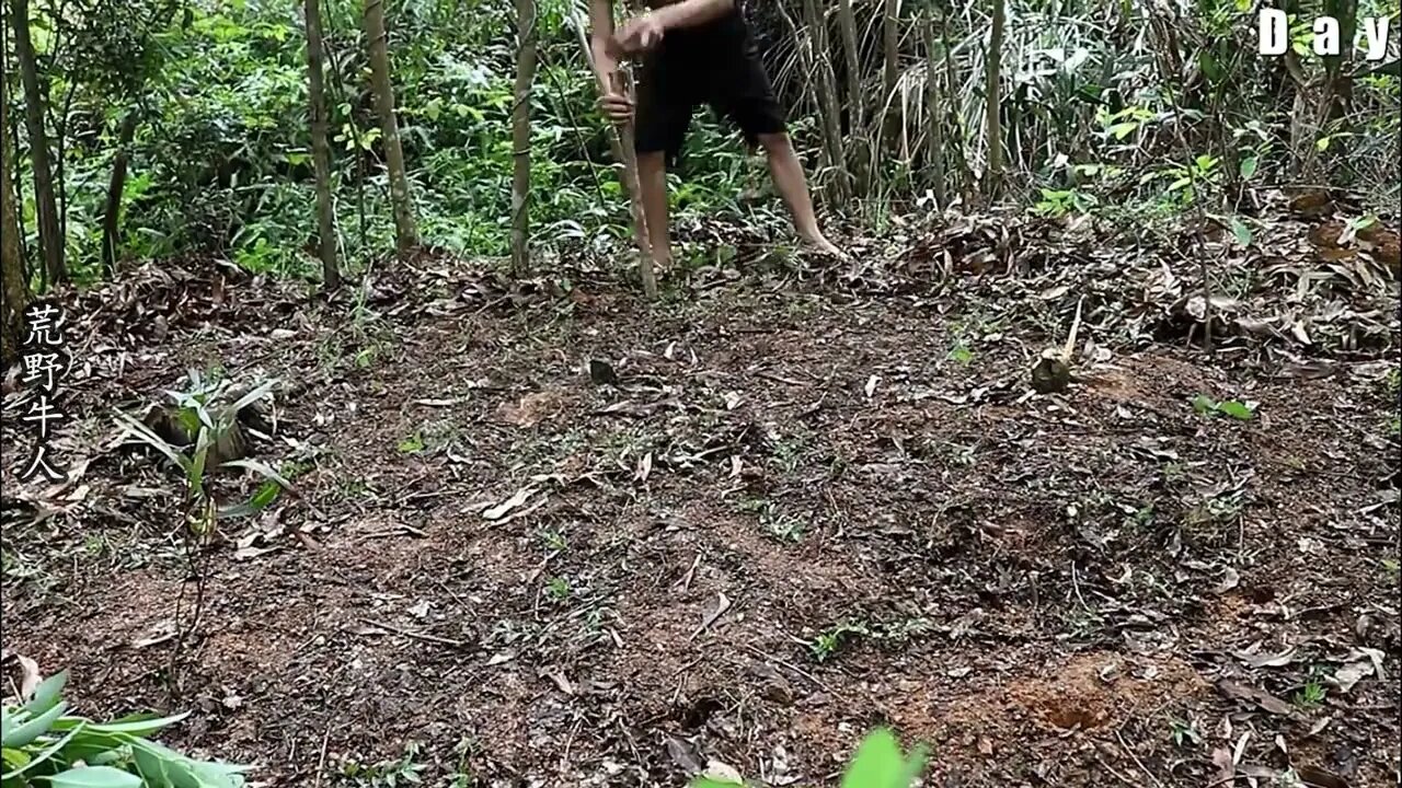 The boy wandered in the wild for 12 days, showing amazing wild survival skills13