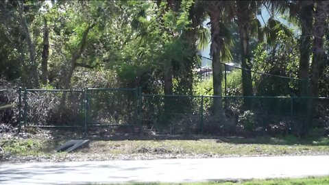 Local Park Reopens After Being Used for Hurricane Relief