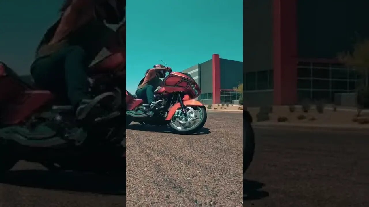 Sometimes you have to get really close for the good shots!