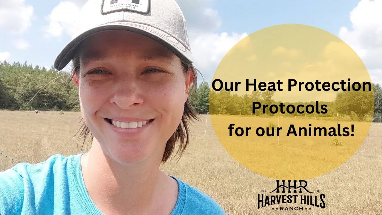 Harvest Hills Ranch Heat Protection Protocols for our Animals!