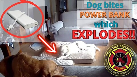 Dog Bites Power Bank: Explosion and Fire Devastate the House