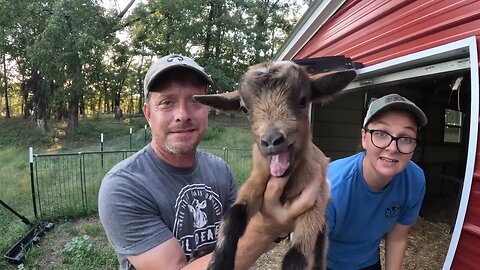 Kidding Season Has Finally Started! | Three Little Goats Homestead Vlog