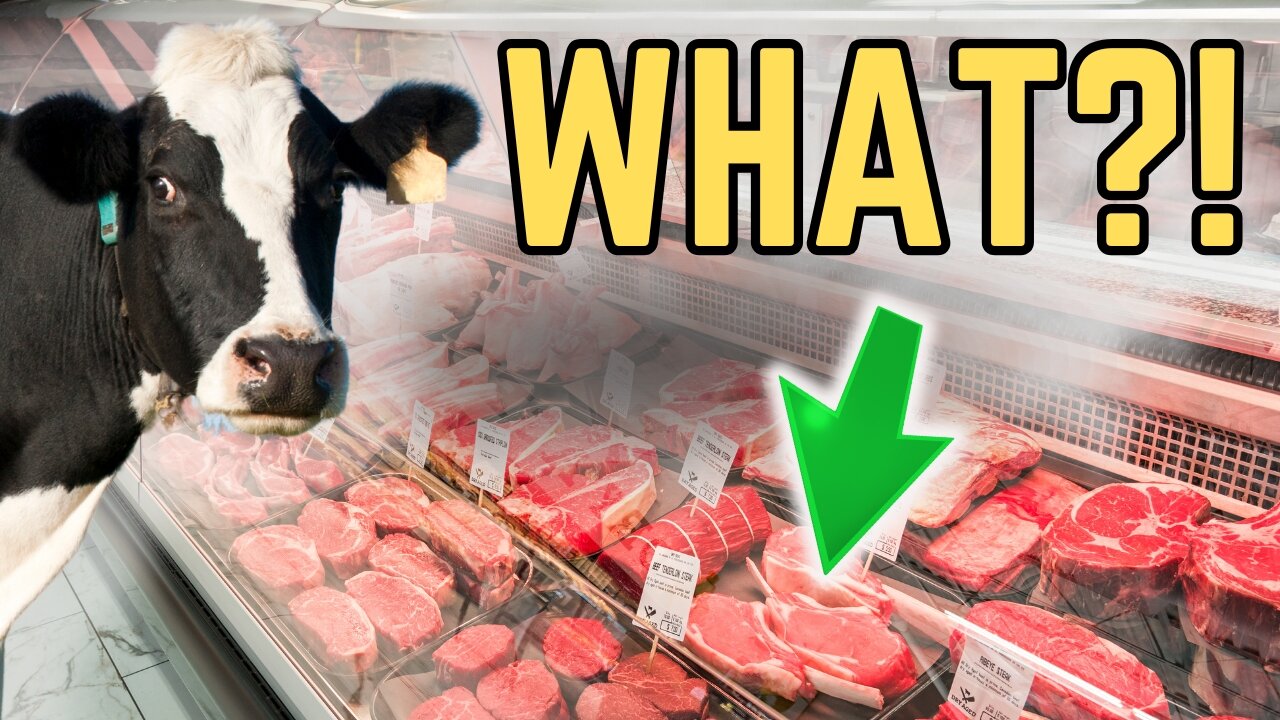 WHAT are they putting in our meat? Bovaer exposed