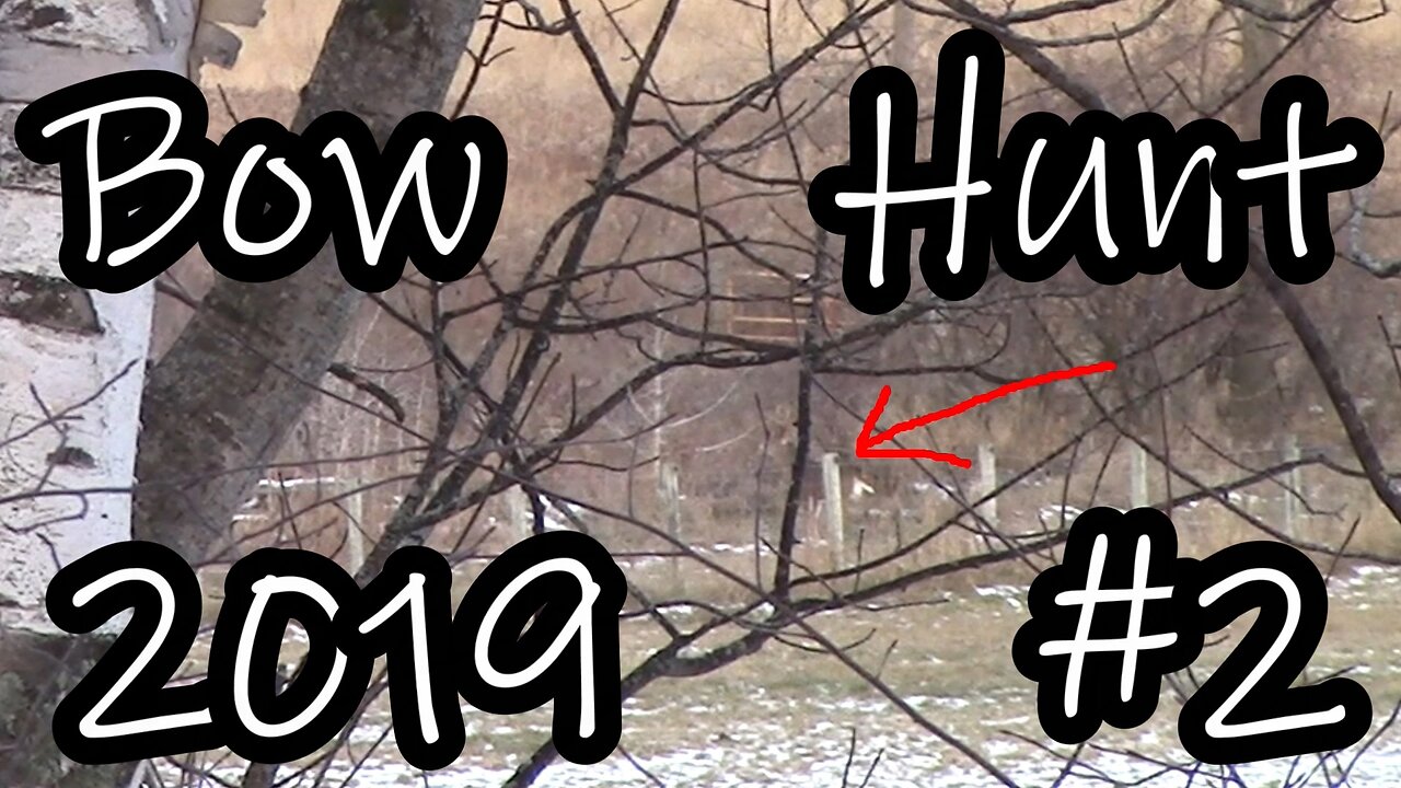 Bow Hunt 2019 #2