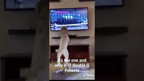 It's the one and only D-O double G #shorts