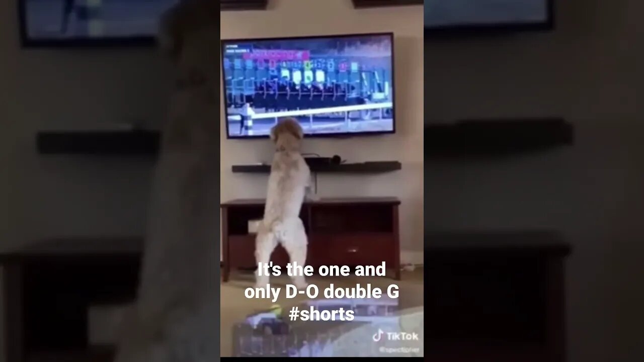 It's the one and only D-O double G #shorts