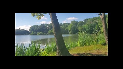 Back & 4th for The Old & New