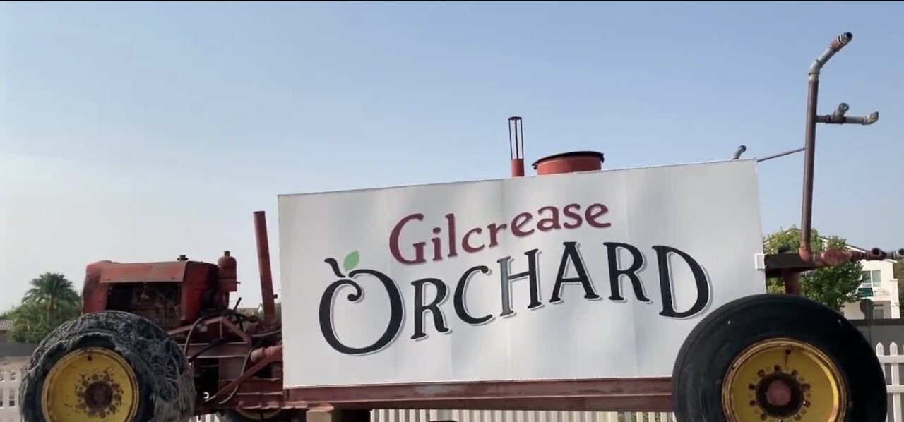 Gilcrease Orchard remains fall destination for Las Vegas families