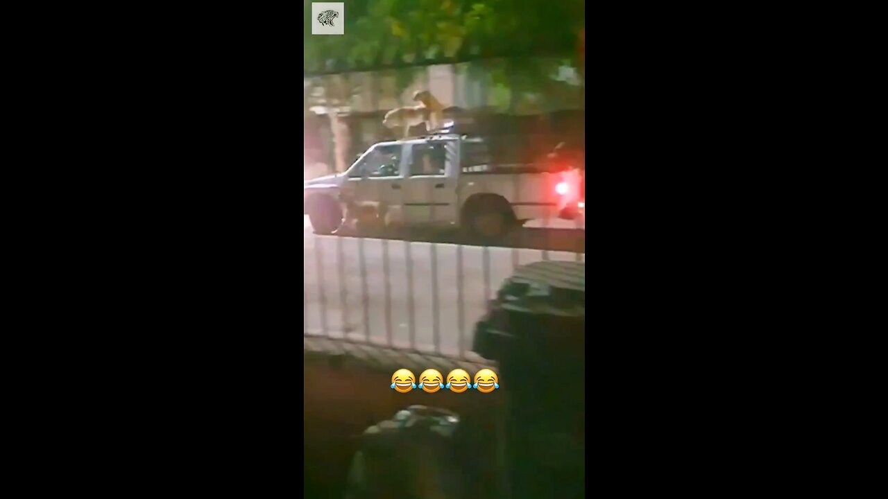 Mission Impossible 😂😂🤣