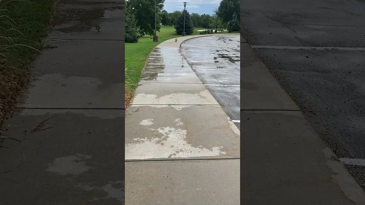 0-6 MPH in 12 seconds!