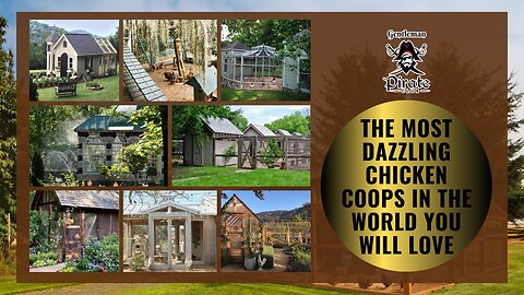 Gentleman Pirate Club | The Most Dazzling Chicken Coops In The World You Will Love