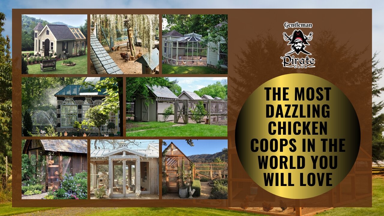 Gentleman Pirate Club | The Most Dazzling Chicken Coops In The World You Will Love