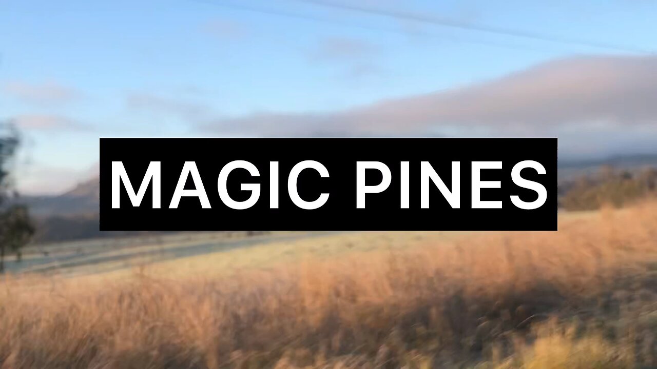 MAGIC PINES - Bring ya Billy to Work!
