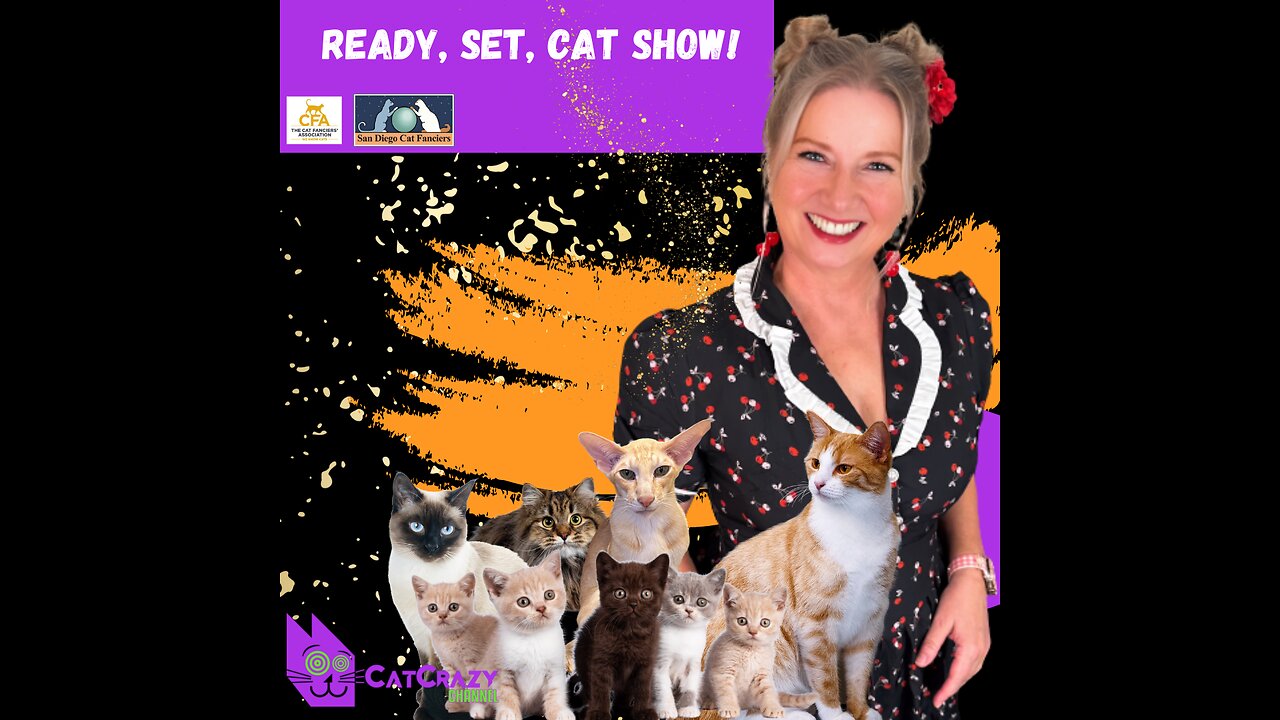 What To Expect When You Visit The San Diego Cat Show!