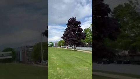Climbing Citadel Hill in Halifax