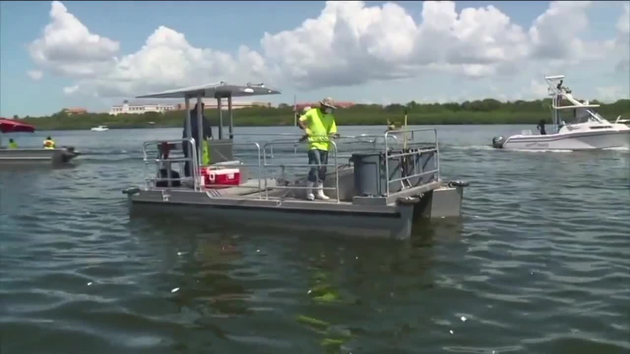 Red Tide detected in the Gulf, health alert issued for several Sarasota County beaches