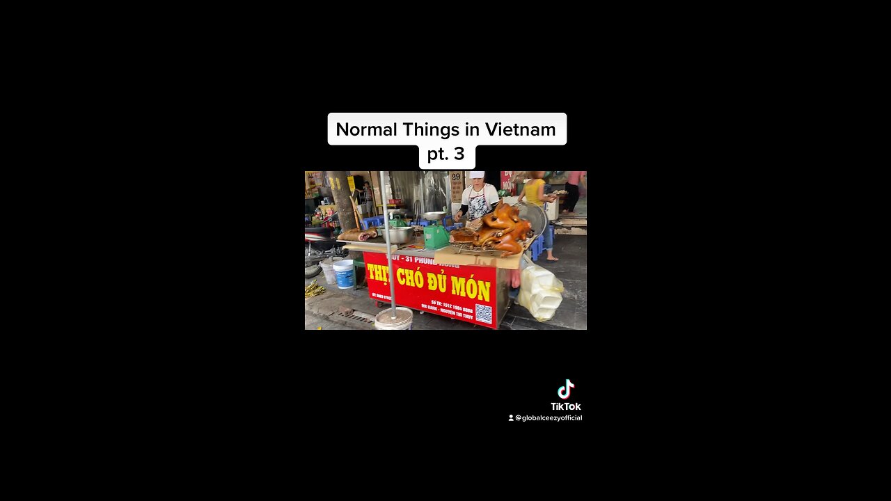 Dog Meat in Vietnam 🇻🇳