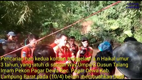 Bocah Tiga Tahun Jatuh di Sungai Way Umpu Lampung Barat, Tim SAR Gabungan Lakukan Pencarian