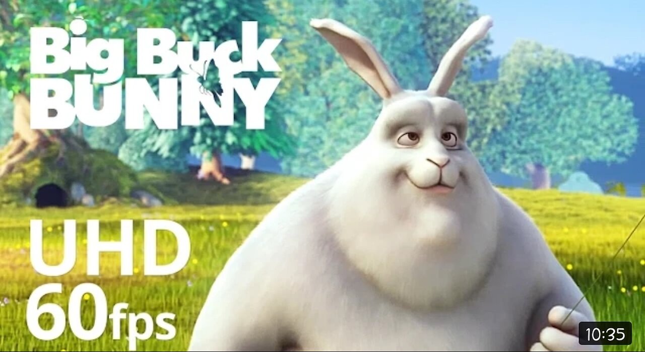 Big Buck Bunny | funny video