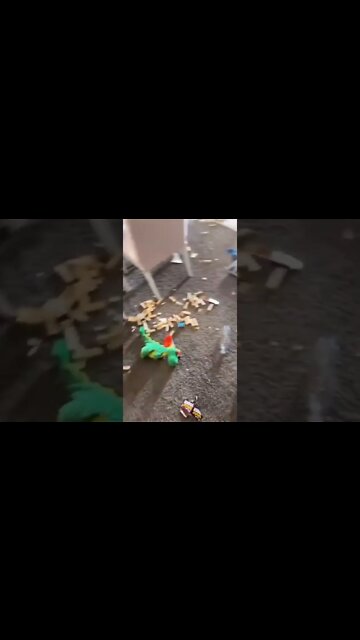 Funniest Dog Videos| Try Not To Laugh| #shorts