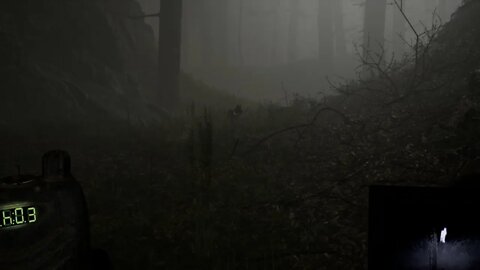 Blair Witch Enjoyable Fun Game