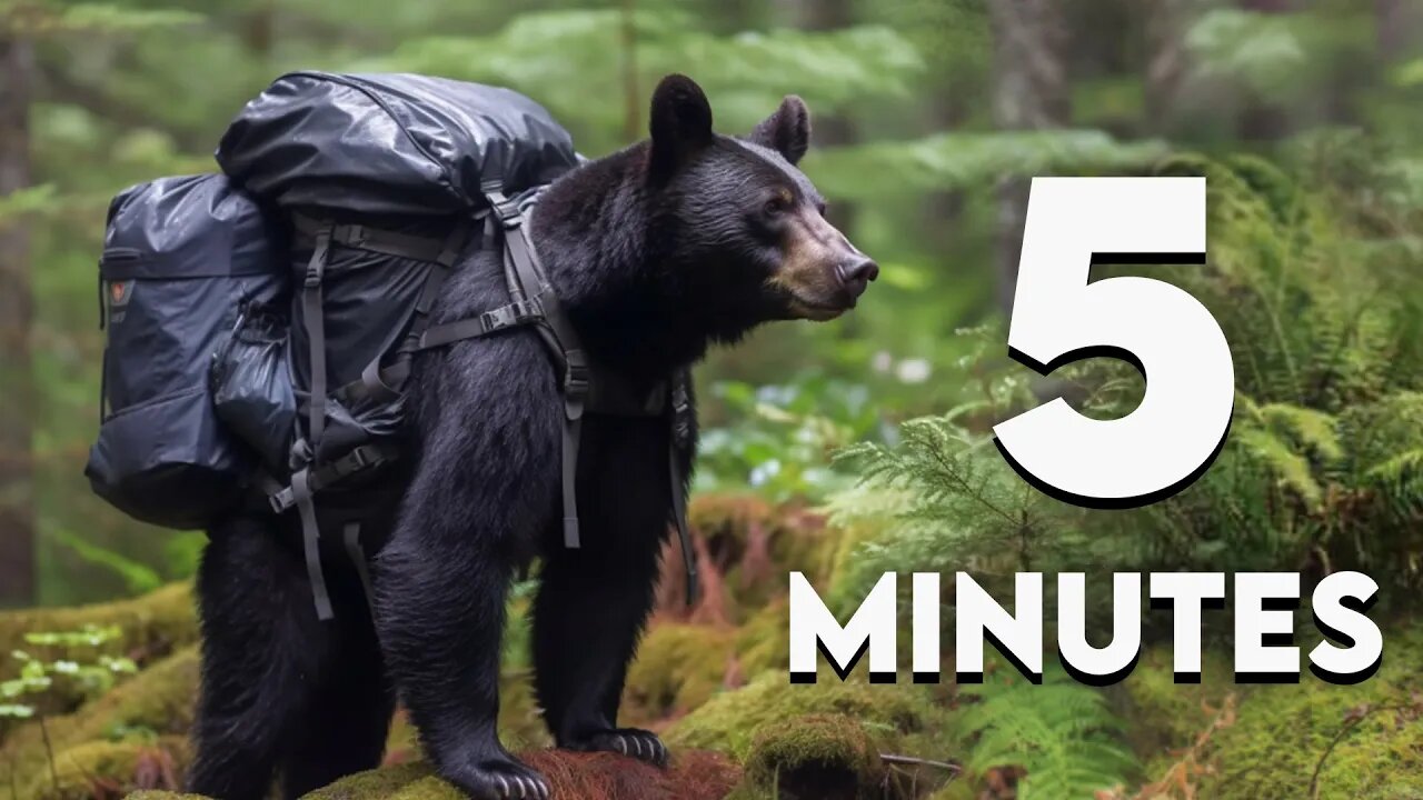 Backpacking Trip Ready in 5 Minutes! | How to Organize Backpacking Gear