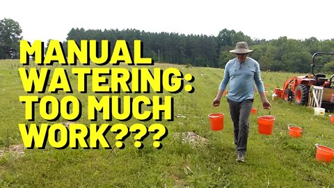 #152 Is Manual Watering Too Much Work? Is it Worth The Effort?