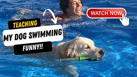 Teaching Dogs to Swim