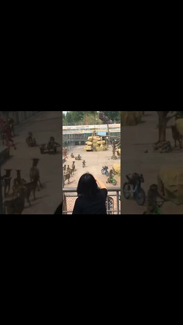 Crazy Monkeys Racing #shorts