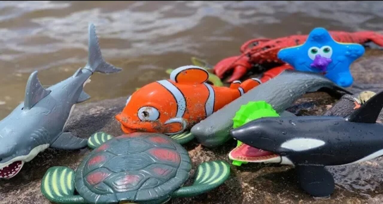 Sea animal toys