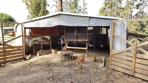 The Perfect Chicken Coop