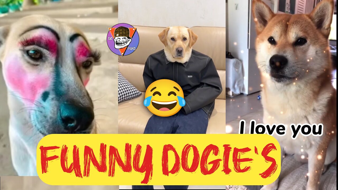 Dogie's funny moments 😂| #funnydogs | dubbedgalleryfuns