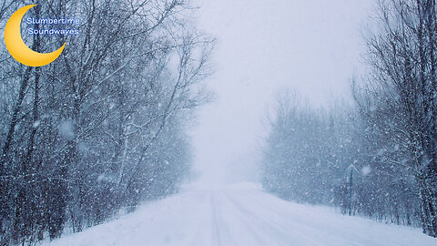 Winter Blizzard With Howling Wind - (Black Screen)