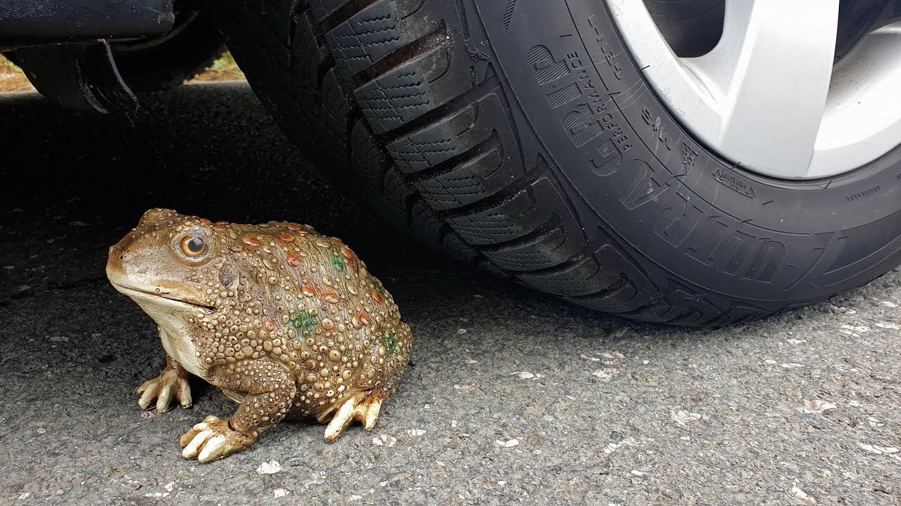 Crushing Crunchy & Soft Things by Car! EXPERIMENT CAR vs FROG (Toy)