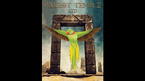 Parrot Temple Alexandrine bird room UK