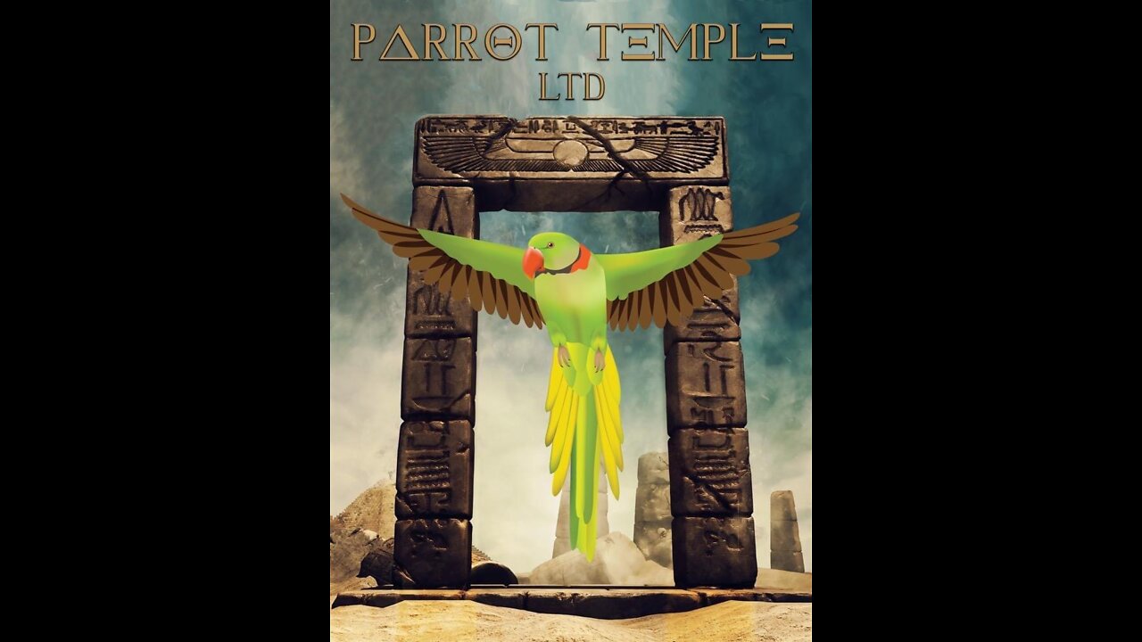 Parrot Temple Alexandrine bird room UK