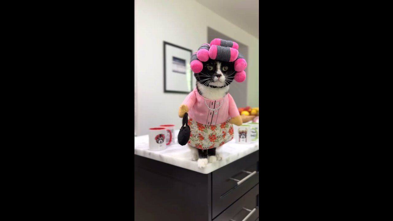 I woke up like this