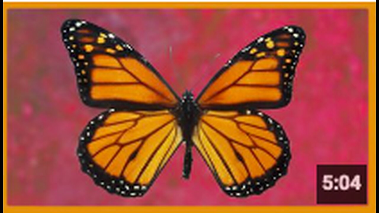 Trauma Based Mind Control | Greg Reese