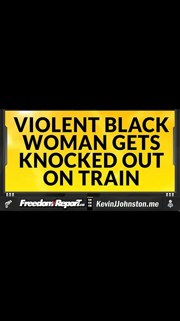 Violent And Vulgar Black Woman Gets Knocked Out On Train.