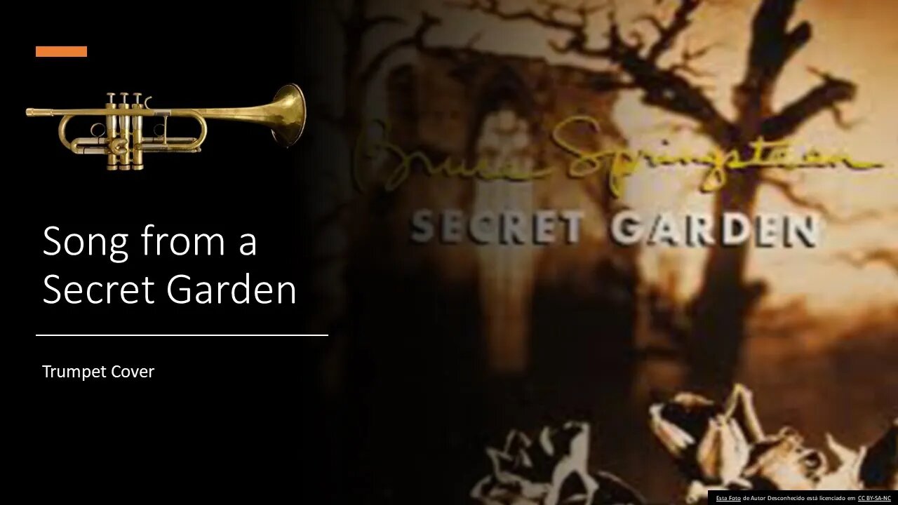 Song from a Secret Garden [TRUMPET COVER]