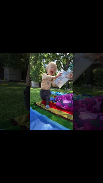 1 yr old plays fetch EVERY TIME bahaha #toddlerfetchchallenge #shorts