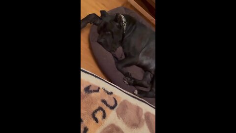 Sound on 🔉