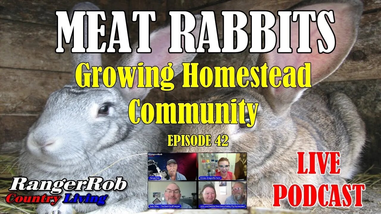 Meat Rabbits & Growing Homestead Community - Live Podcast