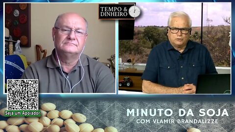Janela da exportação pode se abrir para o Milho brasileiro